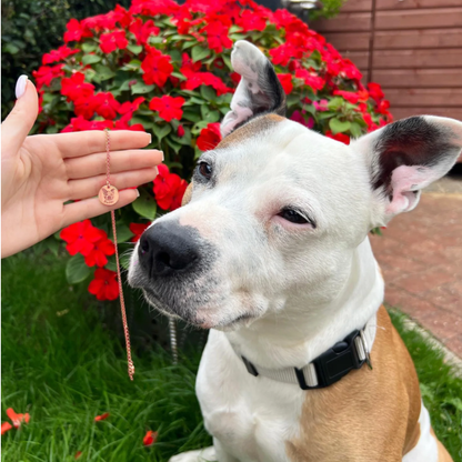 Collar con la cara de tu mascota